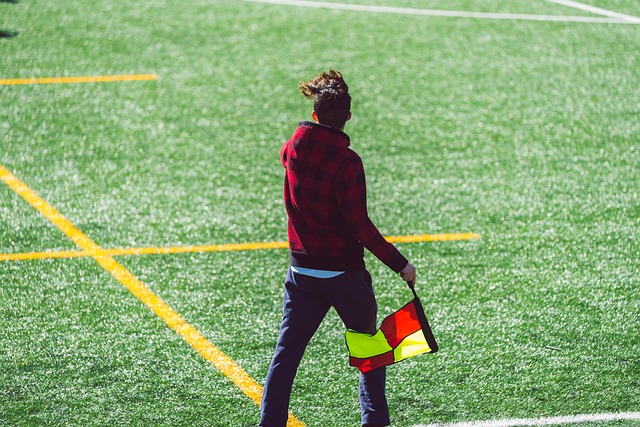 v体育app入口网页版