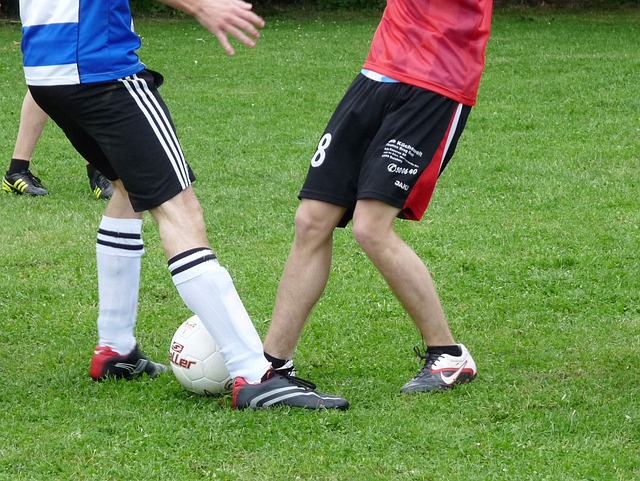 v体育app入口网页版