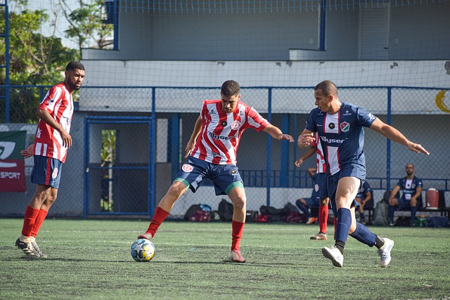 种子队和非 种子队和非